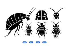Hand Drawn Cockroach Clipart For Crafts And Printables Product Image 1