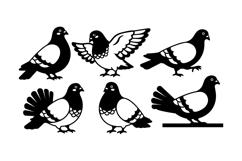 Pigeon And Dove SVG Vector For Crafts Product Image 1