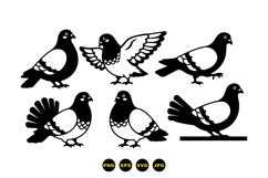 Pigeon And Dove SVG Vector For Crafts Product Image 3