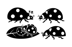 Hand Drawn Ladybug Vector For Crafts Product Image 2
