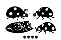 Hand Drawn Ladybug Vector For Crafts Product Image 3