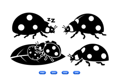 Hand Drawn Ladybug Vector For Crafts Product Image 1
