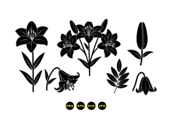 Hand Drawn Lily Floral Clipart For Crafts Product Image 1