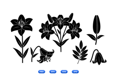 Hand Drawn Lily Floral Clipart For Crafts Product Image 2