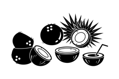 Hand Drawn Coconut Vector For Crafts Product Image 1