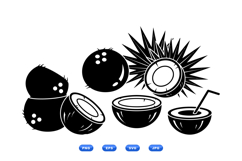 Hand Drawn Coconut Vector For Crafts Product Image 2