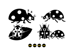 Hand Drawn Ladybug Vector Illustration Product Image 3