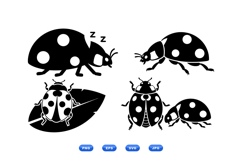 Hand Drawn Ladybug Vector Illustration Product Image 2