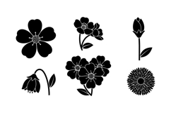 Floral SVG Silhouette For Crafts And Printables Product Image 2