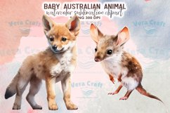 Baby Australian Animal Watercolor Sublimation Clipart Product Image 6