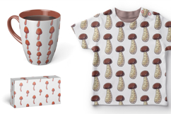 Mushrooms. Illustration in hand draw style. Seamless pattern Product Image 2