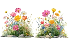 14 Watercolor Wildflower Clipart Bundle, Botanical Flowers Product Image 7