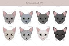 Russian Blue Cat Product Image 5