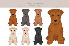 Lakeland terrier clipart Product Image 2