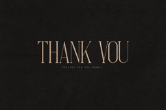 French Elegant Modern Serif Font Product Image 6