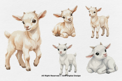 15 Bundle Watercolor White Goat Baby Kids Charming Farm Product Image 6