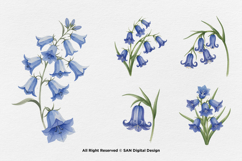 15 Bundle Watercolor Blue Bell Flower Spring Floral Garden Product Image 6