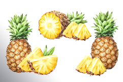 Tropical Pineapple Product Image 7