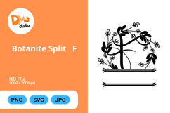 Botanite Split Monogram Product Image 1