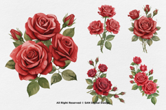 15 Bundle Watercolor Red Rose Romantic Floral Flower Elegant Product Image 6