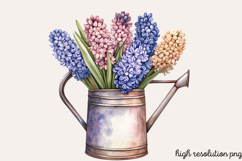 Spring Hyacinth Flower Clipart PNG Product Image 1