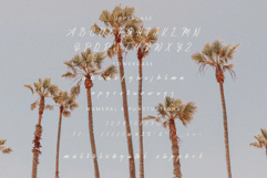 Kieyto Script Font Product Image 6