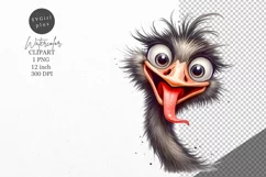 Ostrich clipart, Bird clipart, Funny clipart Product Image 1
