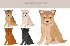 Norwegian Lundehund clipart Product Image 3