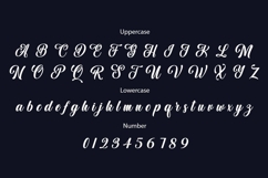 Aulora Script Product Image 6