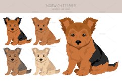 Norwich Terrier clipart Product Image 2