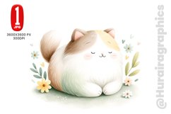 Baby Ragdoll Cat - JPG File Product Image 1