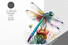 Dragonfly clipart, Flower clipart, Summer clipart Product Image 1
