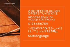 Begonia Product Image 6