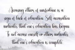 Grinch Product Image 6