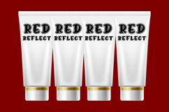 Birdsun Varsity - Bold Athletic College Font Product Image 5