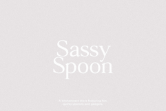 Vision - Modern Serif Product Image 6