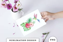 Watercolor Hummingbird Sublimation Downloads Product Image 6