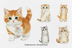 15 Bundle Watercolor Cute Cats Kitten Fluffy Pet Lovers Product Image 6