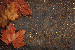 Autumn leaves on dark textured background with golden specks Product Image 1