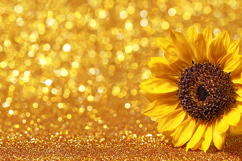 Glittering gold background with bokeh lights Product Image 1
