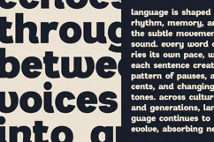 Ouvre Bold Contemporary Display Sans Font Product Image 6