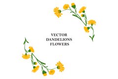 Floral border of yellow plant dandelions on white backgrou Product Image 1