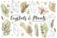 Watercolor crystals and plants clipart. Product Image 1