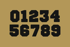 Golden Sport Product Image 6