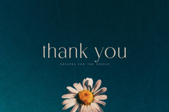 Alpas Minimal Editorial Serif Typeface Product Image 6