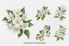 15 Bundle Watercolor Jasmine Flower Decoration Wedding Product Image 6