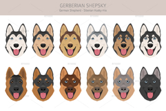 Gerberian Shepsky dog mix Product Image 5
