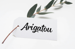 Boarding Quickly Product Image 6