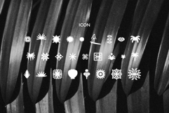 Conega Display Font Product Image 6