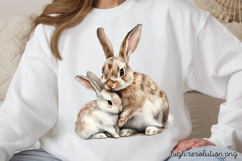 Mothers Day Animals Clipart PNG Product Image 1